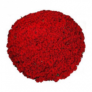 Композиция из 301 красной розы