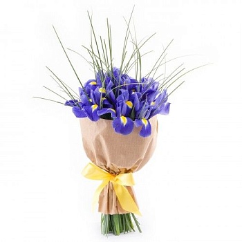 Фото 11 Ирисов