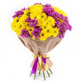 11 кустовых хризантем