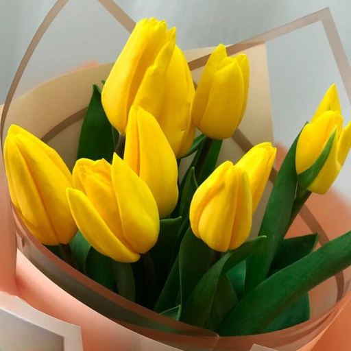 Фото Букет из 9 тюльпанов