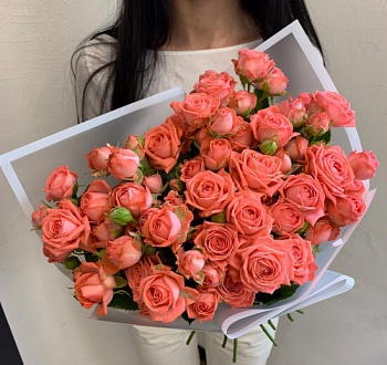 Фото Кустовые розы "Робкое признание"