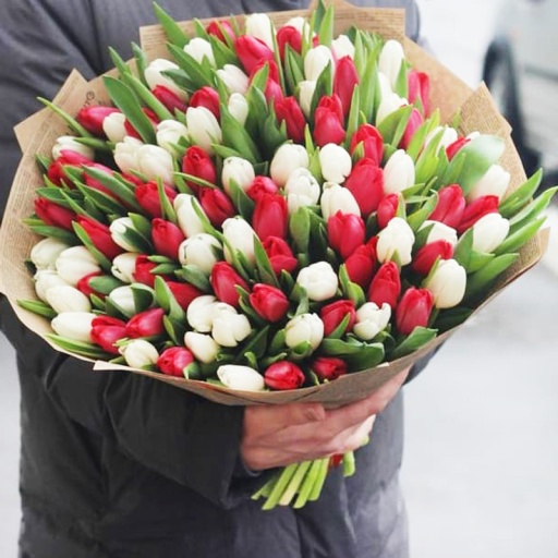 Фото Большой букет из 101 тюльпана белого и красного цвета