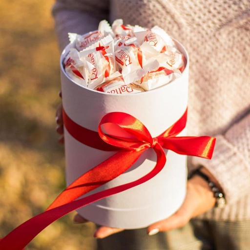 Цилиндр с Raffaello