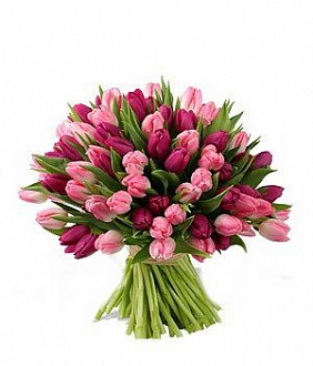 Яркий букет из 101 тюльпана фиолетового и розового цвета