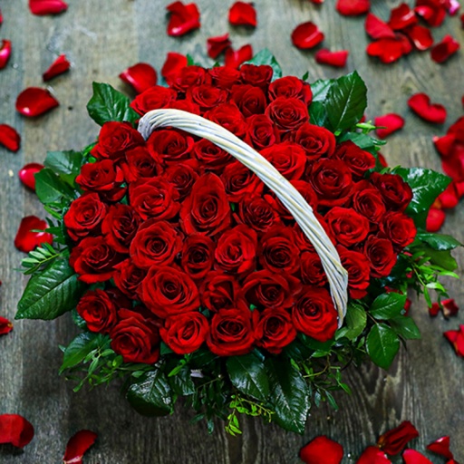 Фото Розы "Страстное сердце"