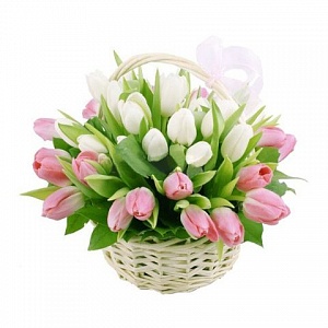 Корзина с белыми и розовыми тюльпанами
