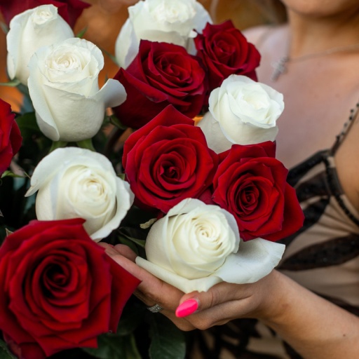 Яркий букет из 21 красной и белой голландской розы