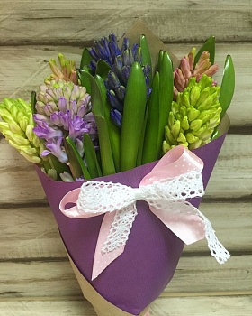 Фото 7 гиацинтов