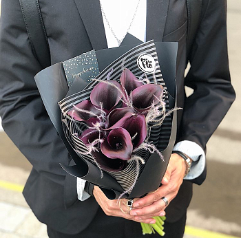 Фото Каллы "Беллона"