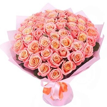 Фото 101 Роза Мисс Пигги