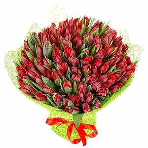 Яркий букет из 101 красного тюльпана