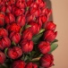 Классический букет из 61 красного пионовидного тюльпана Фото Классический букет из 61 красного пионовидного тюльпана