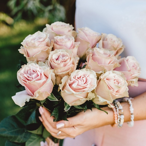 Фото Букет из 11 кремовых голландских роз