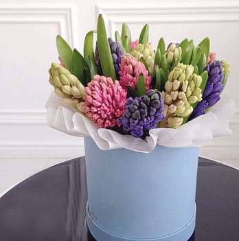 Фото Шляпная коробка с гиацинтами