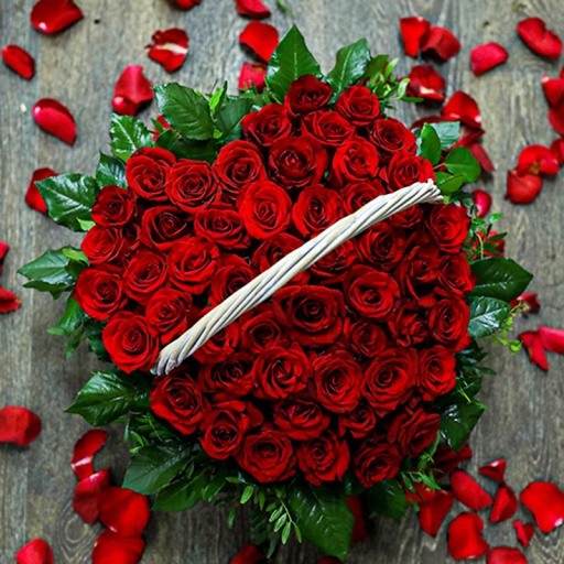 Фото Розы "Страстное сердце"