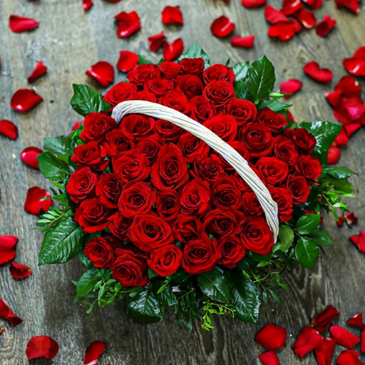 Фото Розы "Страстное сердце"