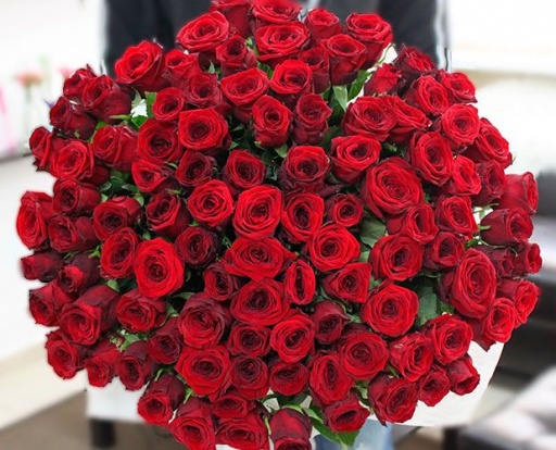 Большой букет из 101 красной розы
