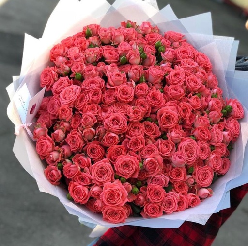 Фото Композиция "Вечерний Бланес"