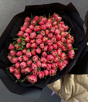 Букет из 101 пионовидного тюльпана красно-белого цвета