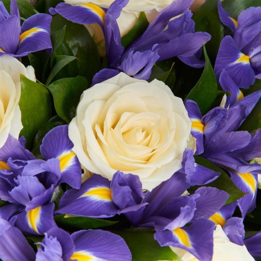 Фото Милый букет из ирисов и роз