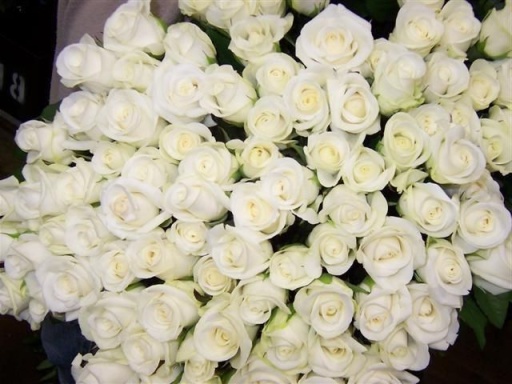 Букет из 101 Краснодарской розы