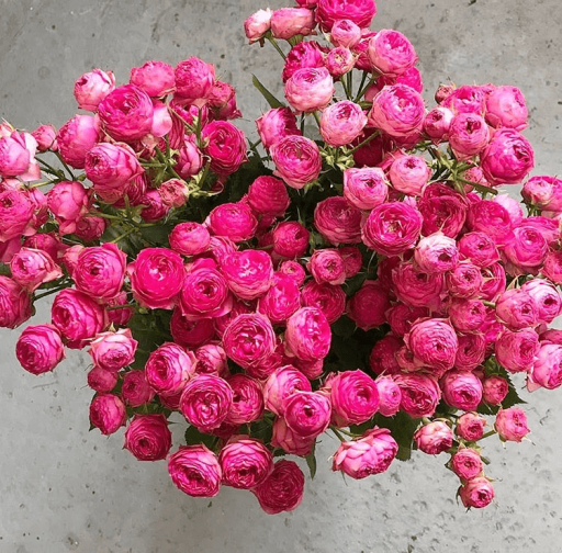 Фото Букет пионовидных роз "Вишневое лето"