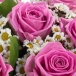 Букет с розами "Розовое счастье"