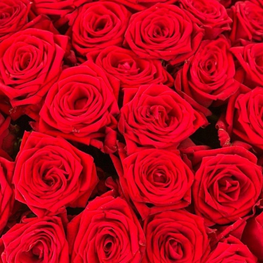 Фото Букет из 25 ярких роз "От пламенного сердца"