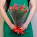Букет из 7 красных тюльпанов на международный женский день