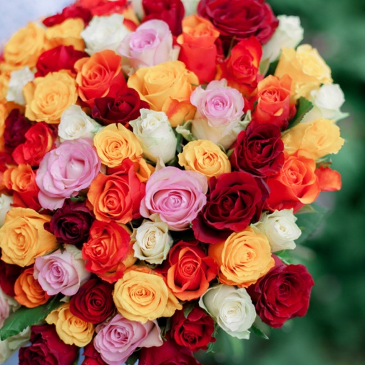 Фото Букет из 101 розы Микс (производство Краснодар)